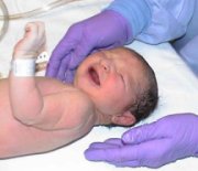 neonatal.jpg - 7285 Bytes